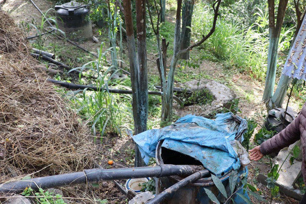 गहुँतबाट जैविक विषादी उत्पादन गरेर खेतीमा प्रयोग